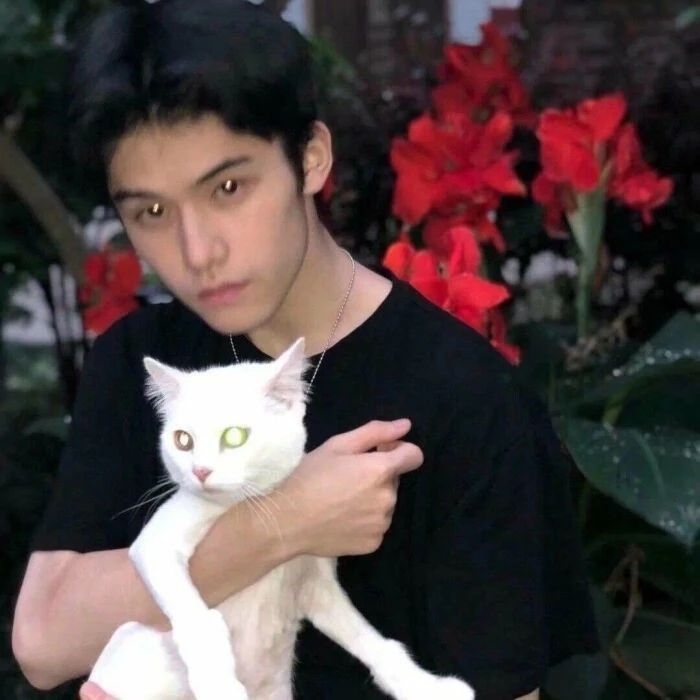 爷的魅力你不懂的第一张照片--福州蓝颜知己交友网